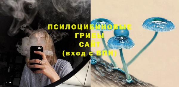 бутират Мегион