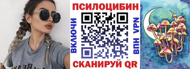 Псилоцибиновые грибы MAGIC MUSHROOMS  где купить наркоту  Ачхой-Мартан 