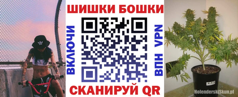Канабис OG Kush Ачхой-Мартан